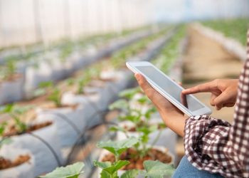mujer-joven-controlando-plantacion_800x600